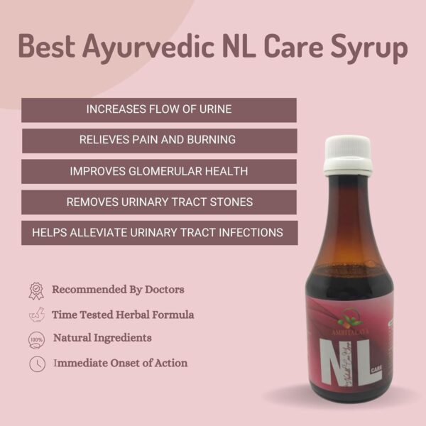Amritalaya NL Care Syrup (Pack of 2) - Image 3