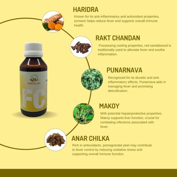 Amritalaya Fever Control Syrup (Pack of 2) - Image 4