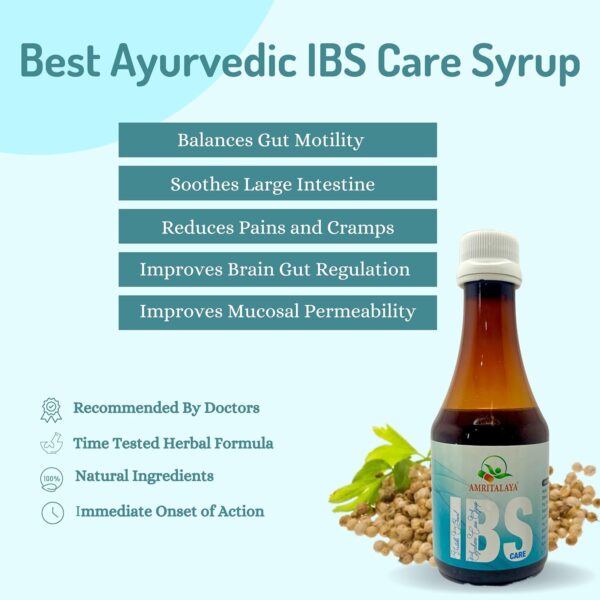 Amritalaya IBS CARE SYRUP (Pack of 2) - Image 2