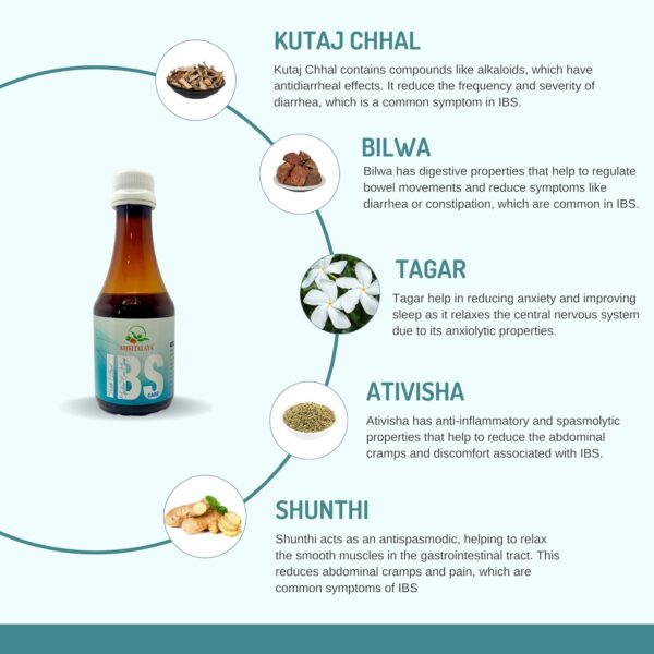 Amritalaya IBS CARE SYRUP (Pack of 2) - Image 4