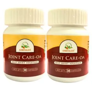 Amritalaya Joint Care-OA – Ayurvedic Capsules for Osteoarthritis, Gout & Joint Health | Natural Pain Relief & Anti-Inflammatory | Pack of 2